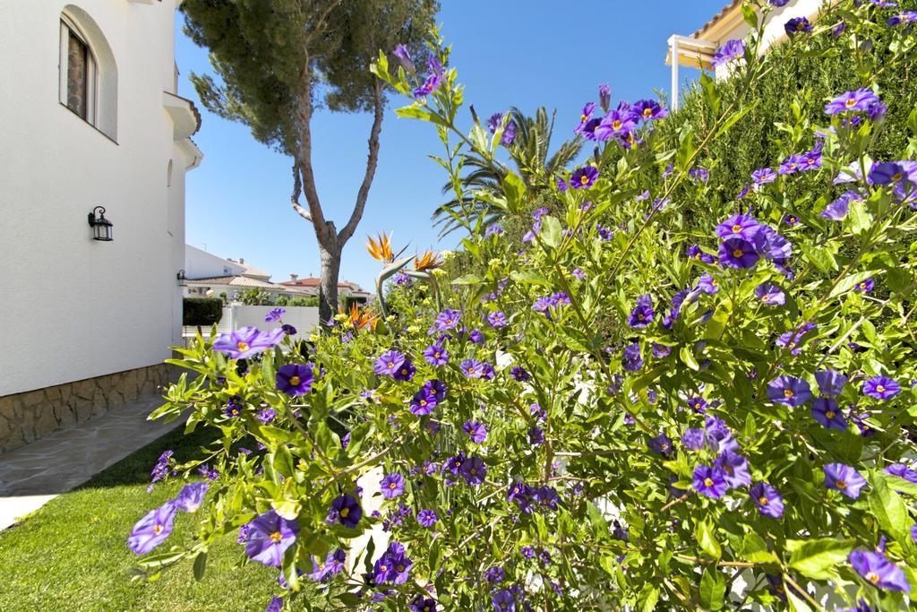 Miami Playa Arenda Pino Alto Villa Gallo חדר תמונה